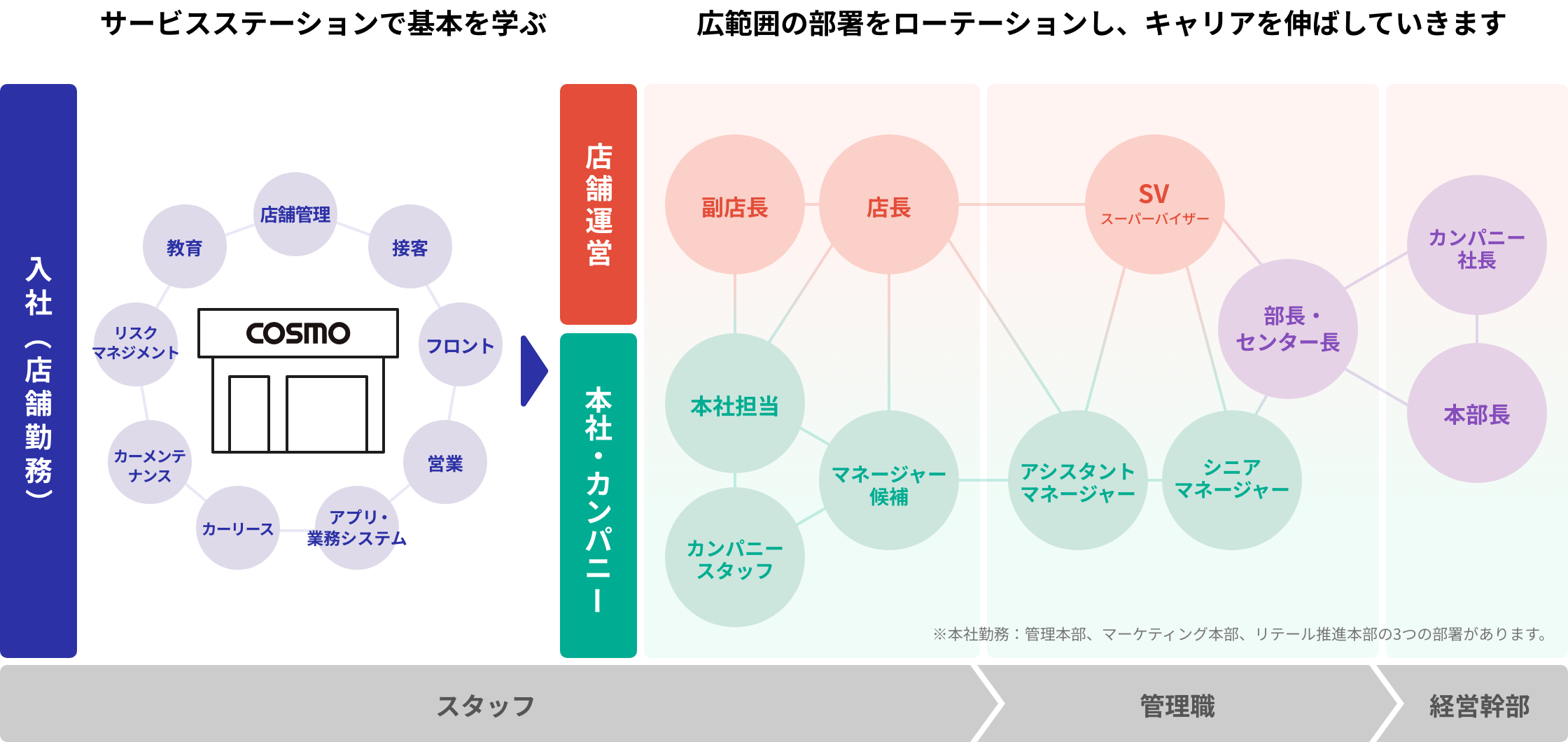 入社：サービスステーションで基本を学ぶ。店舗運営、本社・カンパニー：広範囲の部署をローテーションし、キャリアを伸ばしていきます。